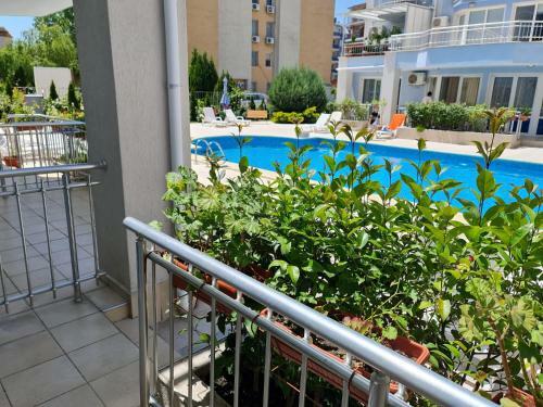 Sunny Dream Apartments Sunny Beach Bulgarien Sonnenstrand