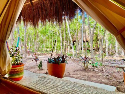 Bunga Lotus Glamping - Otoch Nacom