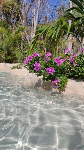Bunga Lotus Glamping - Otoch Nacom