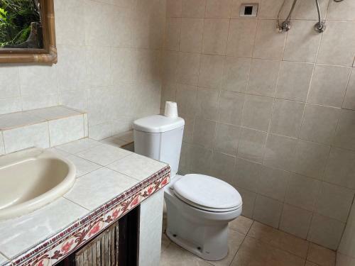 Hotel Ola Homestay