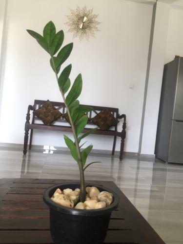 Apartamento K Villa