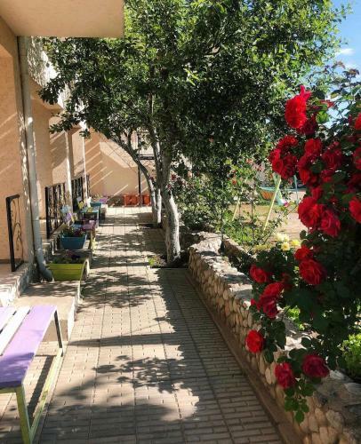 Hostal Homedom