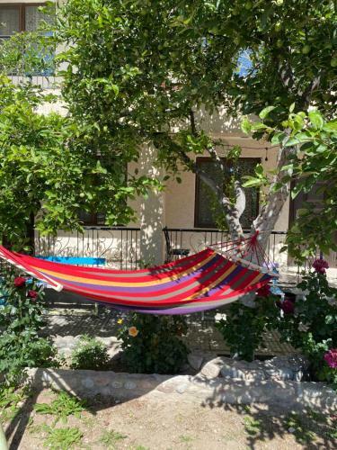 Hostal Homedom
