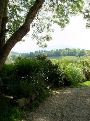 Bed & Breakfast Maison Anderetea