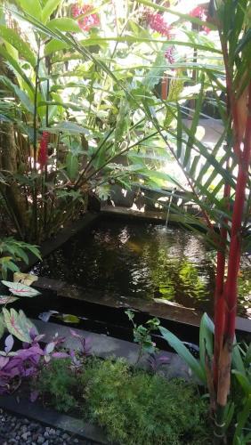 Bed & Breakfast Villa Mahayoni