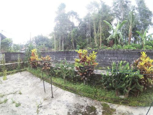 Joglo Sempu Homestay