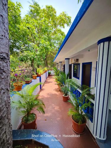 Hostal Little Star Guest House