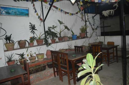 Albergue Kings Land Hotel