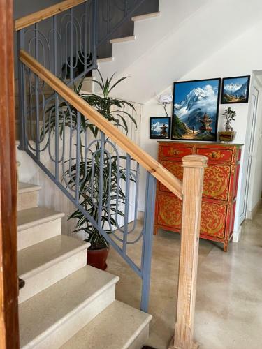 Palmo Holiday Apartments