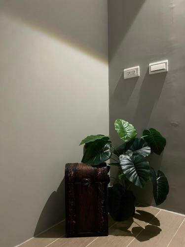 Chenchun Homestay