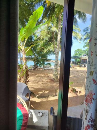 Posada Coconut Palm Guesthouse