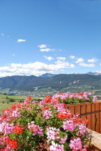 Wellness Hotel La Montanina