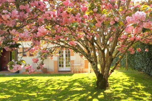 Hostal Le Mas Des Cerisiers