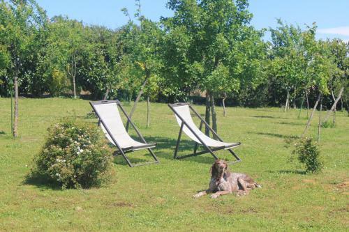 Bed & Breakfast Le Moulin Pastelier