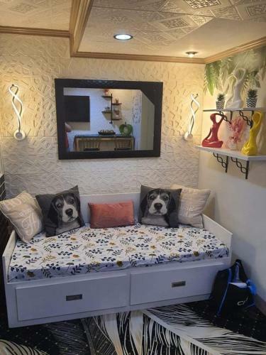 Apartamento Esta�cia De Severino