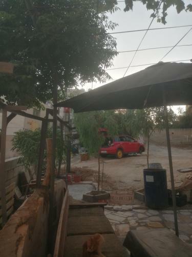 Abo Arar