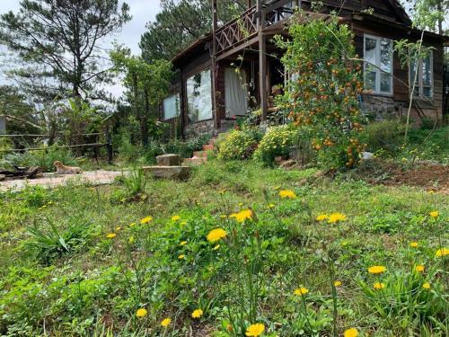 Romantic House On A Pine Hill Dalat