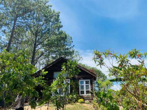 Romantic House On A Pine Hill Dalat