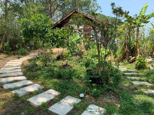 Romantic House On A Pine Hill Dalat