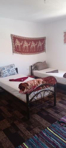 Authentic Bedouin Familie House