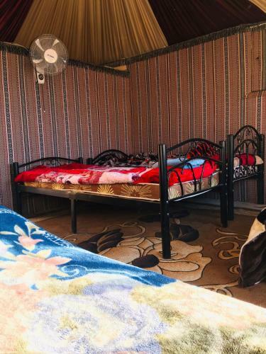Qais In Wadi Rum Camp