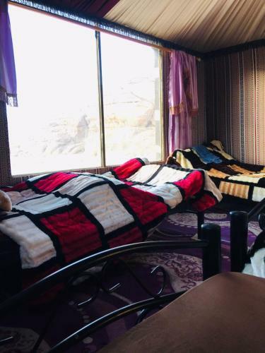 Qais In Wadi Rum Camp