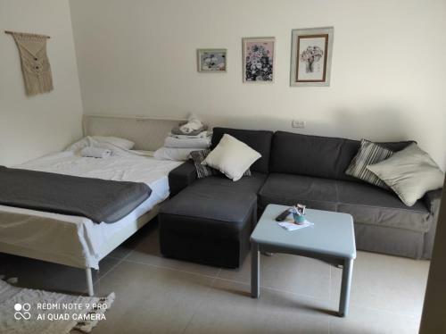 Hostal Lovely House With 3 Private Suites