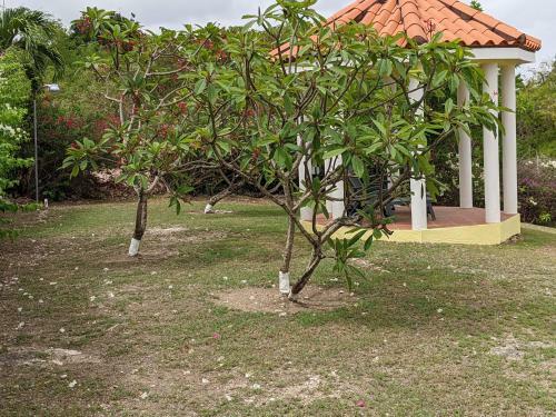 Fast Free Wifi, Pool, Stunning Sea Views