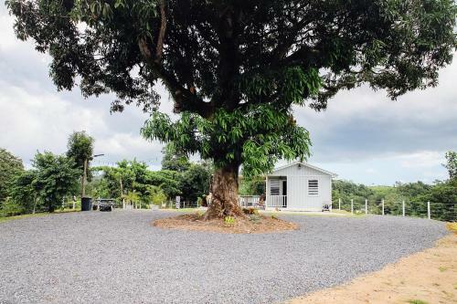 Bello Amanecer Guest House With Private Pool
