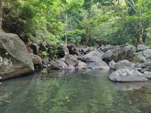 L'�let Paradise