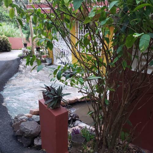Casa Clara Vista