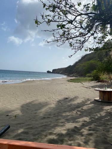 Entre Plage Et Sources Aux Anses-d Arlet