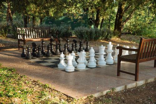 B&B Bastide Avellanne