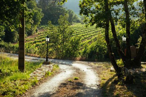 B&B Bastide Avellanne