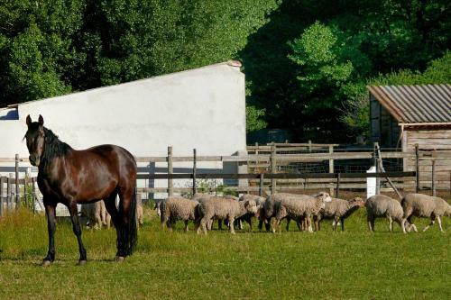 Bed & Breakfast Domaine De Majastre