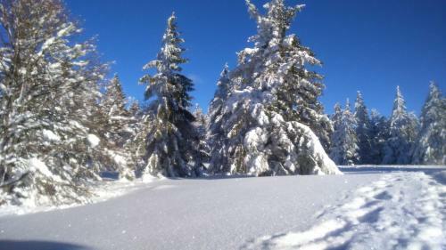 Hotel H�tel Restaurant Du Chalet