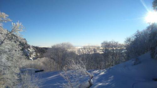 Hotel H�tel Restaurant Du Chalet