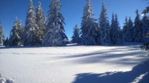 Hotel H�tel Restaurant Du Chalet