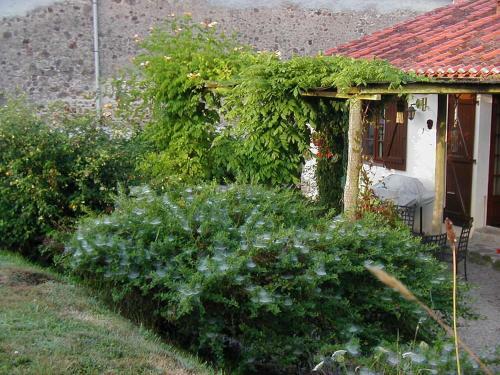 Hostal Le Pit