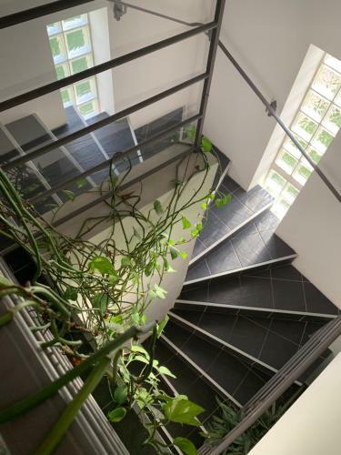 Bed & Breakfast La Raimbaudi�re