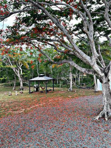 Apartamento Monte Playa Beach House