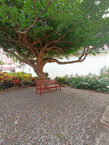 Apartamento Pierre Et Vacances D�sirade 18