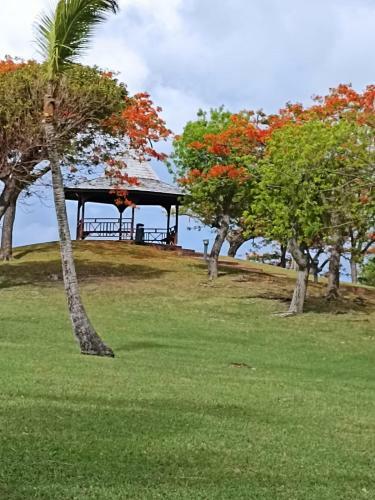 Apartamento Pierre Et Vacances D�sirade 18