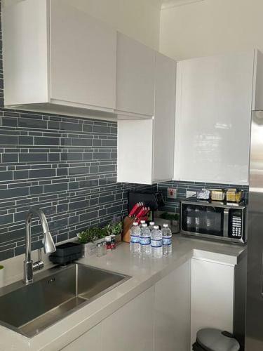 New Kingston Oasis-immaculate 2 Bedroom Apartment