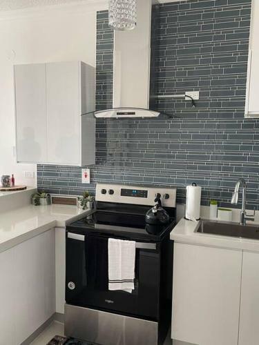 New Kingston Oasis-immaculate 2 Bedroom Apartment
