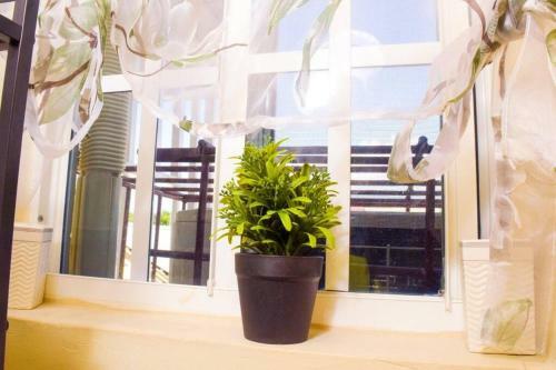 Apartamento Ken