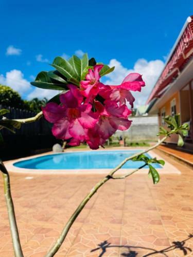 Tahiti - Fare Vairai Pool