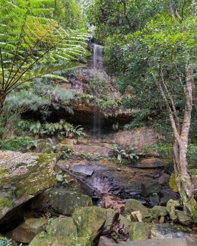 Waterfall House / Horsfield Bay