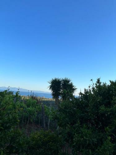 Cheerful 3-bedroom Private Villa In Borsh!