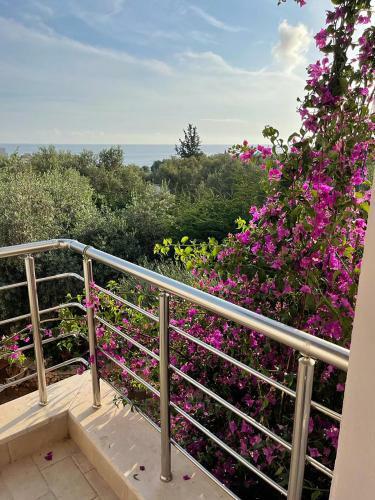 Hotel Mare Blue Drymades